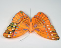 Enlarge - Artificial Butterfly, 01161446