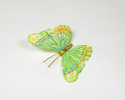 Enlarge - Artificial Butterfly, 01161459