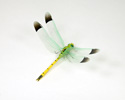 Enlarge - Artificial Dragonfly, 01161461