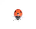 Enlarge - Artificial Ladybird, 0216497