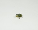 Enlarge - Artificial Turtle, 02171470
