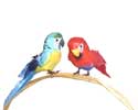 Enlarge - Artificial Parrots, 0217332