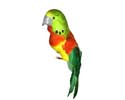 Enlarge - Artificial Parrot, 0217561