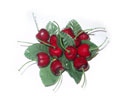 Увеличить - Муляж Вишня клумба, артикул 0218043