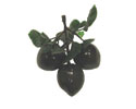 Enlarge - Artificial Plum bush of three, 0218126