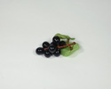 Enlarge - Artificial Currant, 02181479