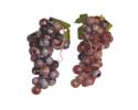 Enlarge - Artificial Grapes, 0218382