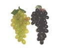 Enlarge - Artificial Grapes, 0218383