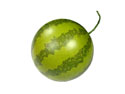 Enlarge - Artificial Water-melon, 0218833