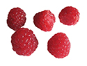 Enlarge - Artificial Raspberry, 02188961