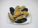 Enlarge - Artificial Mussel, 0120890