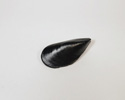 Enlarge - Artificial Mini Mussel, 03251348