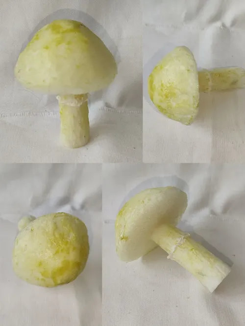 100. ����� ������� ������,  ������� 01301100