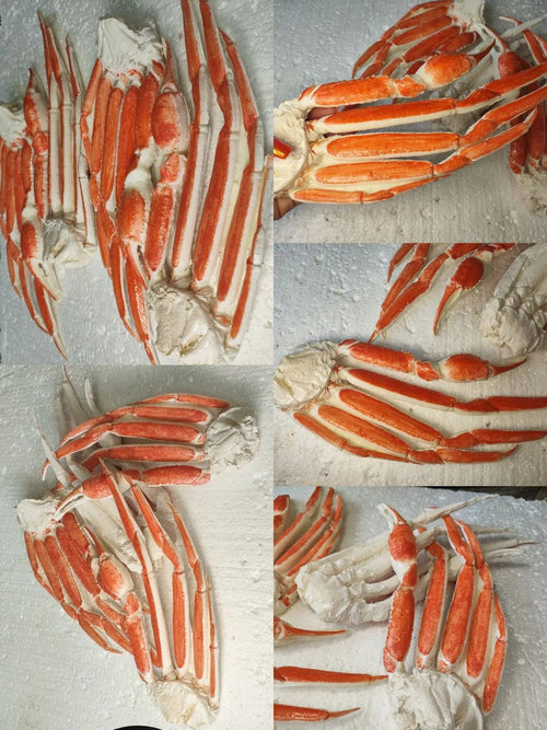 075. ����� ������ ����� ��������,  ������� 01301075