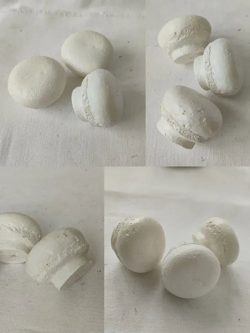 089. ����� ����������,  ������� 01301089