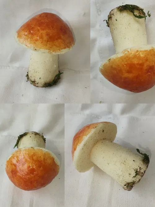 093. ����� ���� �����,  ������� 01301093