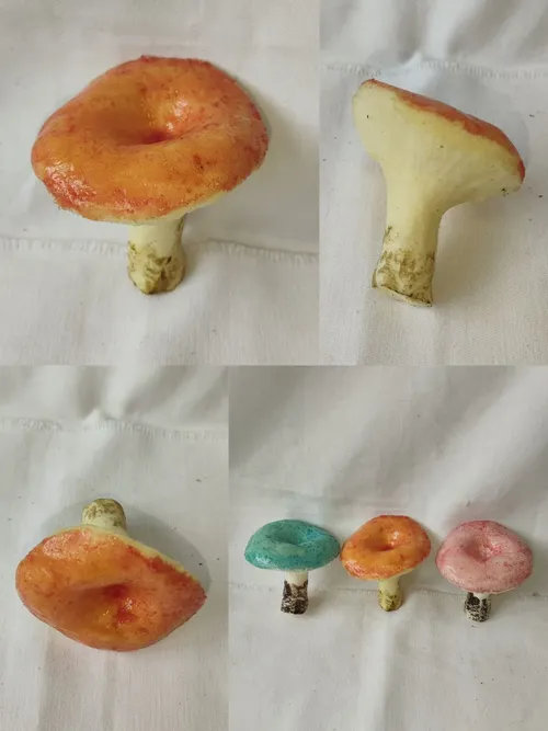 094. ����� ��������,  ������� 01301094