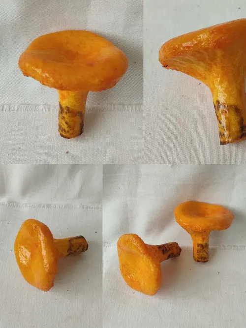 099. ����� �������,  ������� 01301099