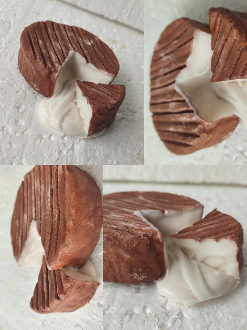 31. ����� ,  ������� 01301031