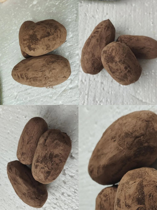 34. ����� ,  ������� 01301034